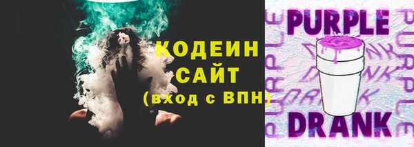 мдпв Вяземский