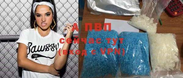 мдпв Вяземский