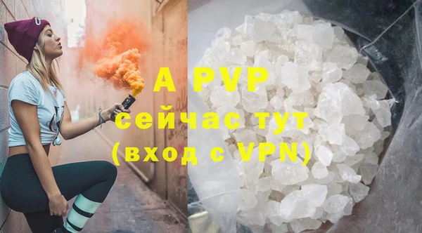 мдпв Вяземский