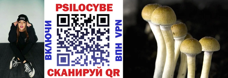 Галлюциногенные грибы прущие грибы Данилов